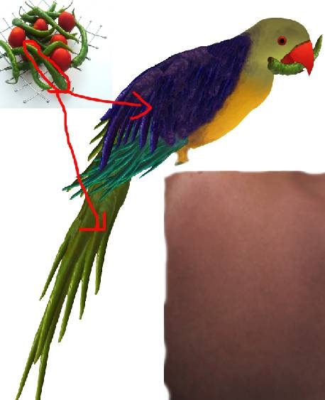 Creation of Parrot: Step 1